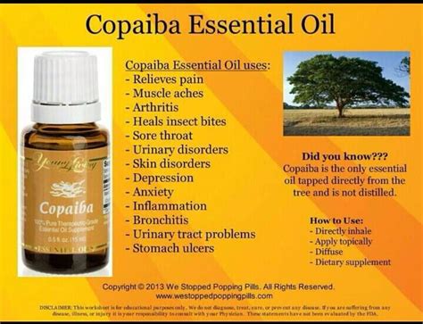 yl copaiba|copaiba vitality young living.